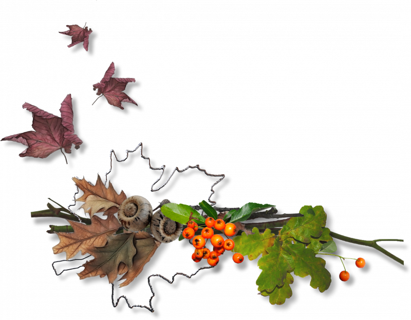 Осенние кластеры