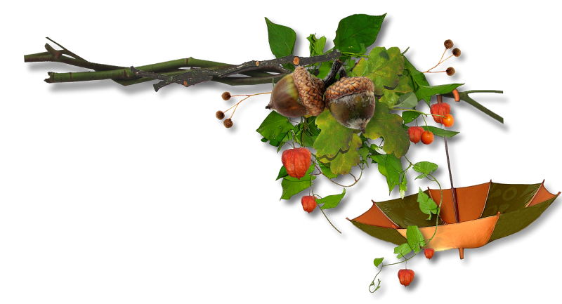 Осенние кластеры