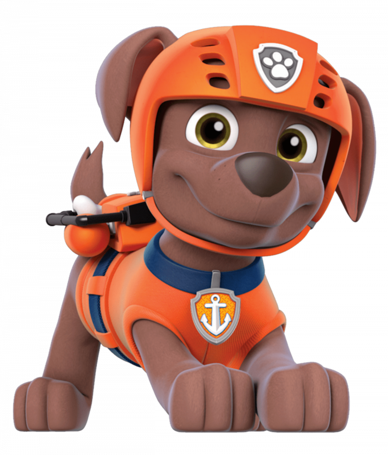 Скай маршал гонщик. Щенячий патруль. Paw Patrol Зума. Маршал Рокки щенки. Paw Patrol герои.