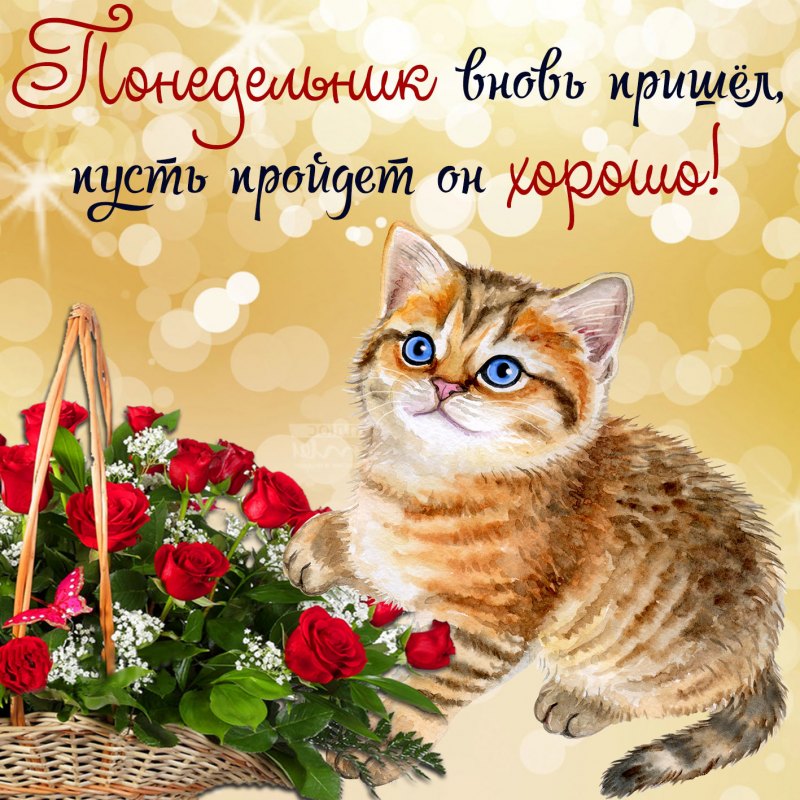 Пожелания доброго утра и хорошего дня