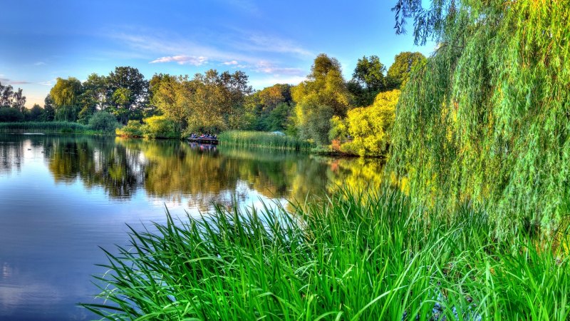 Природа речка