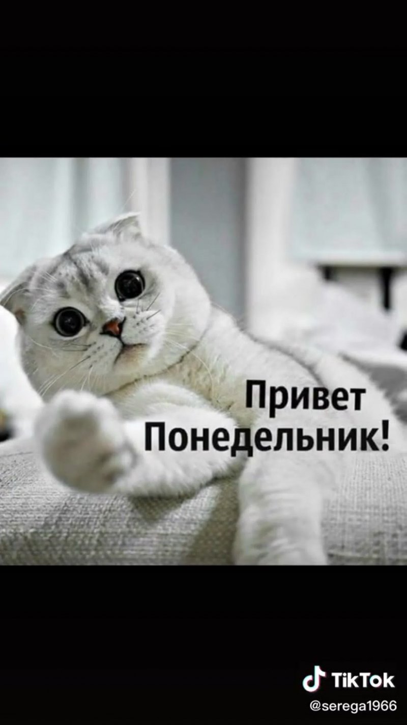 С началом рабочей недели