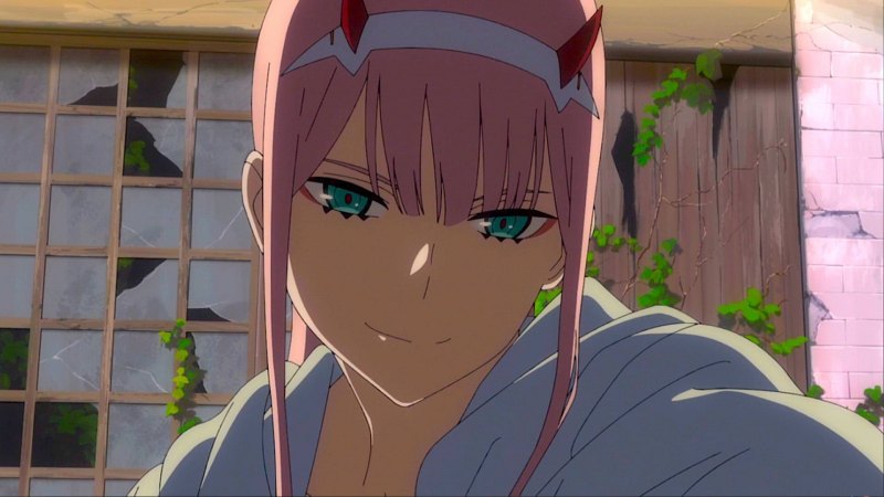 Zero two флексит