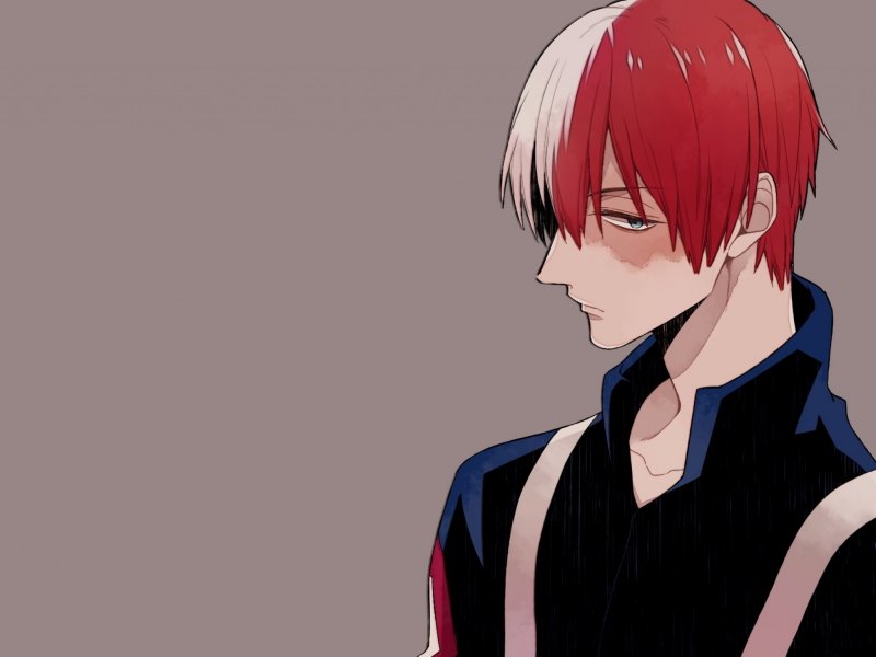 Тодороки аниме