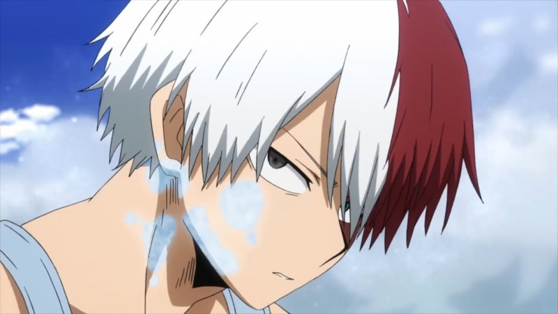 Тодороки шото глаза