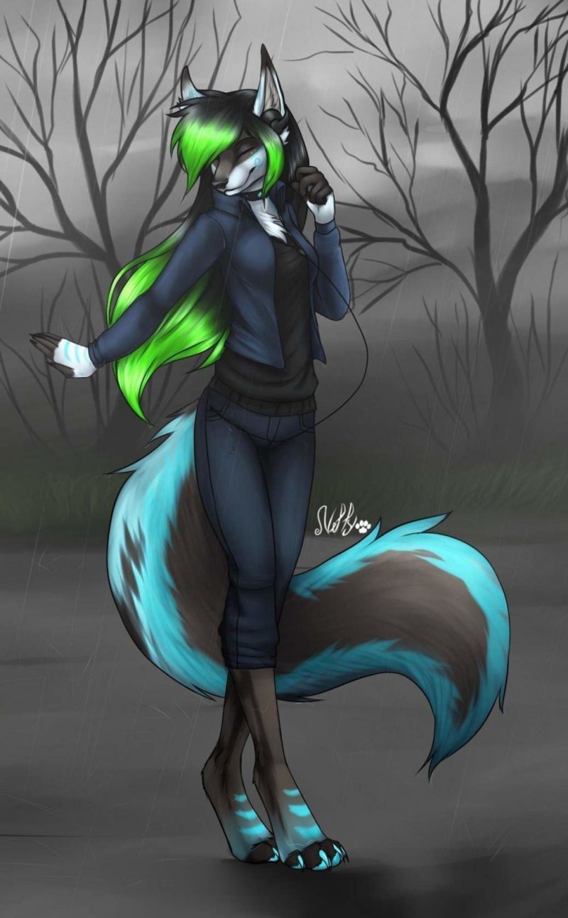 Фурри Лис сталкер