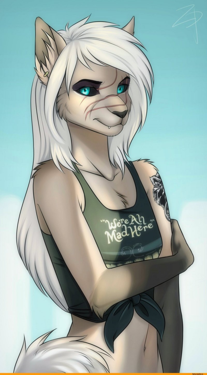 Фурри falvie Fox