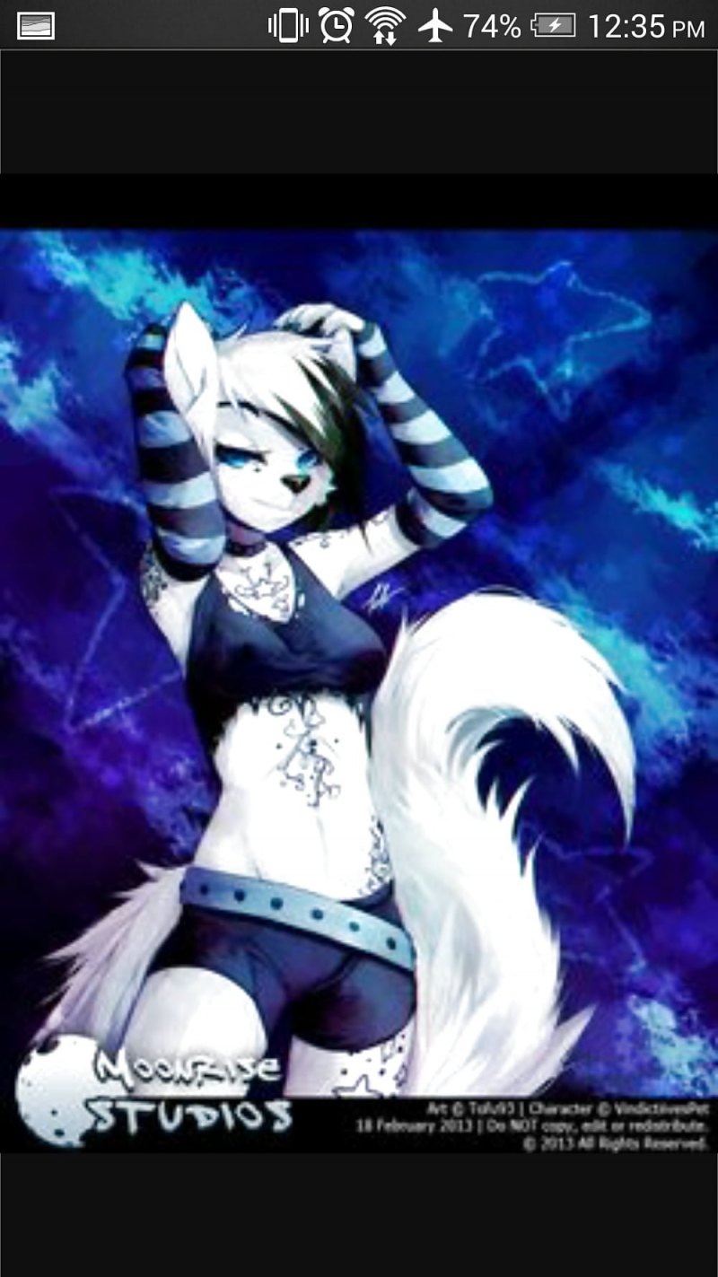 Фурии кошки