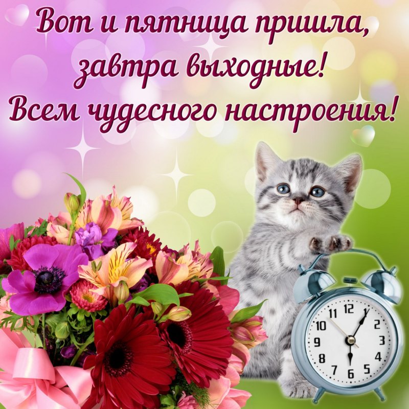 Доброе утро пятницы