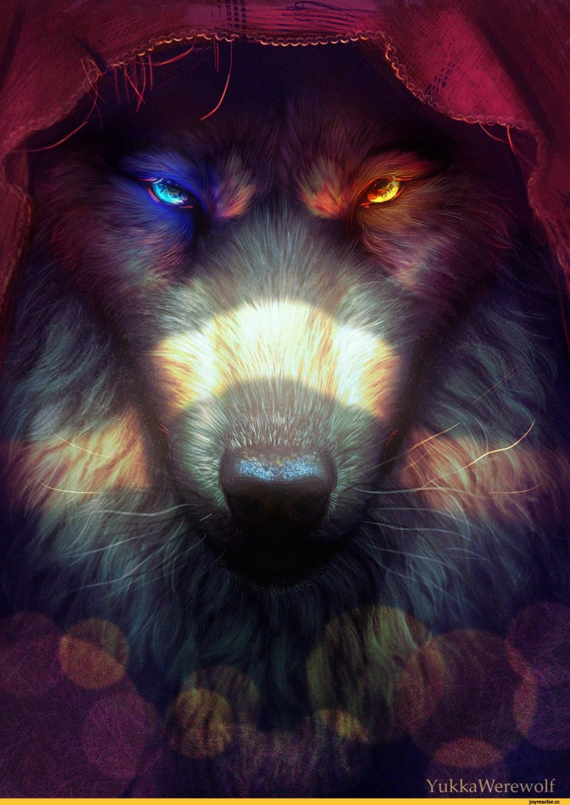 Волки крутые