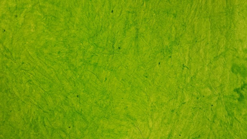 Листы бумаги перевязанные с зеленой лентой