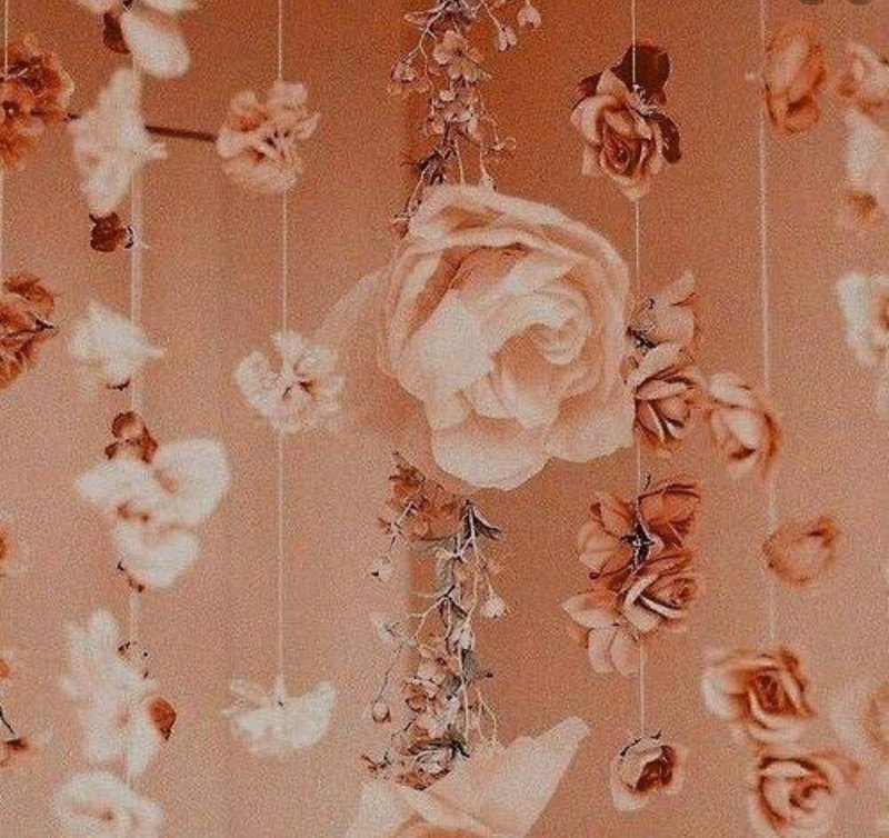 Эстетика персикового цвета