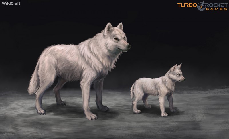 Фенек лиса WILDCRAFT