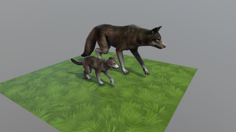 Мистик Волчонок WILDCRAFT