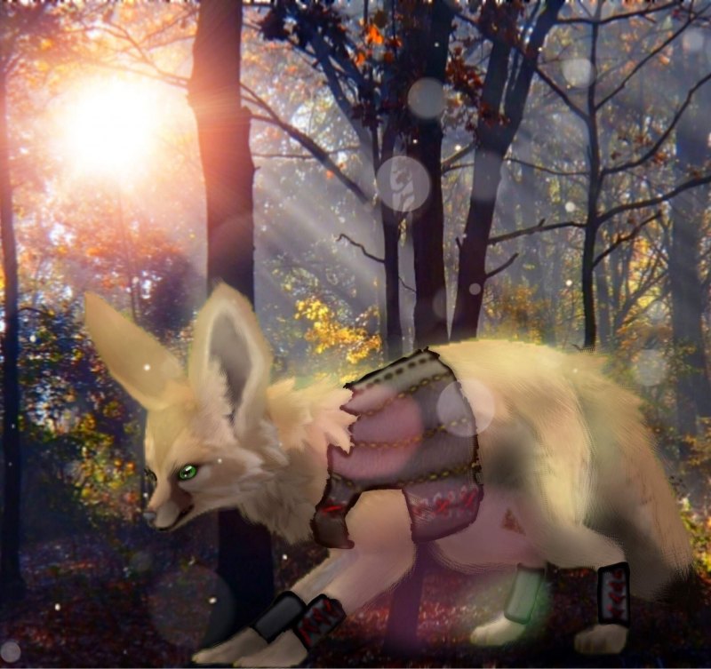 WILDCRAFT обры