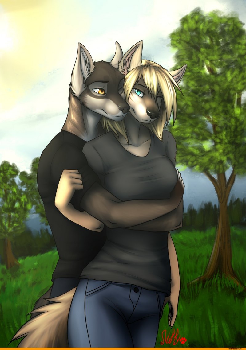 Фурия человек