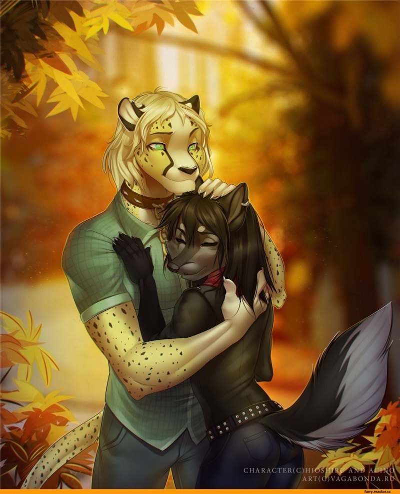 Фурия человек