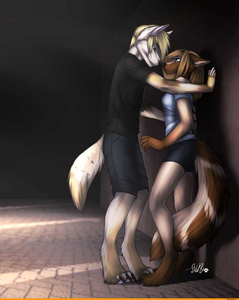 Фурри люблю