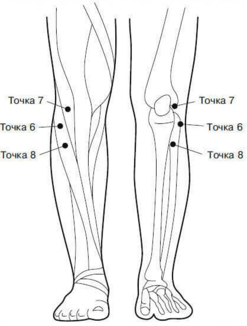 Акупунктура коленного сустава точки