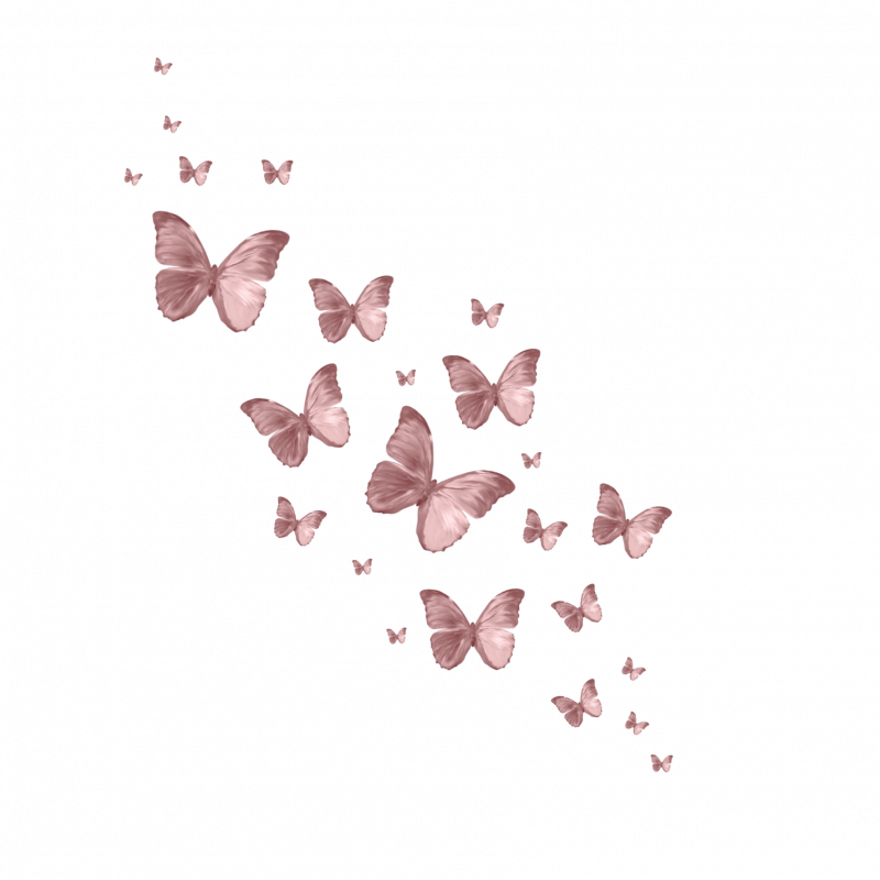 Нежные бабочки на белом фоне