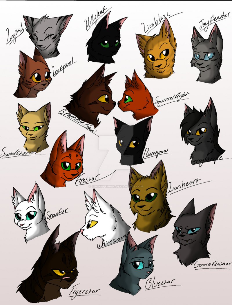 Коты Воители герои