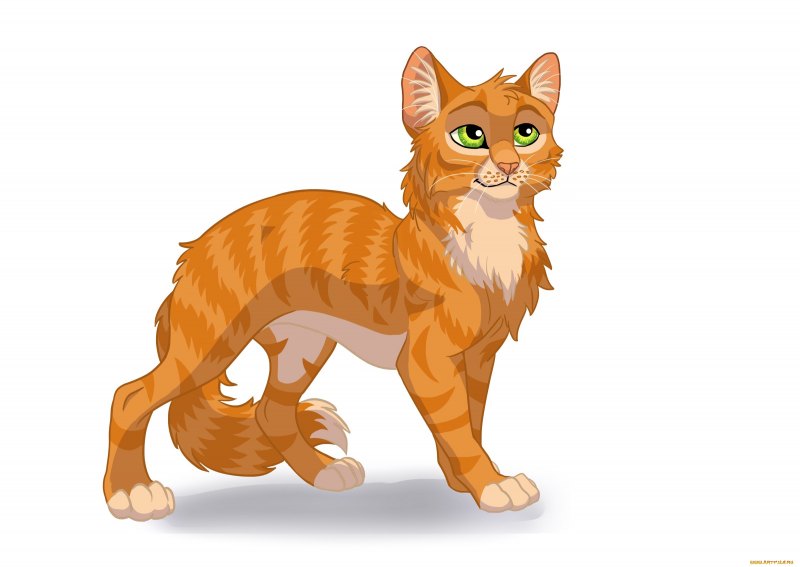 Светло рыжая кошка арт