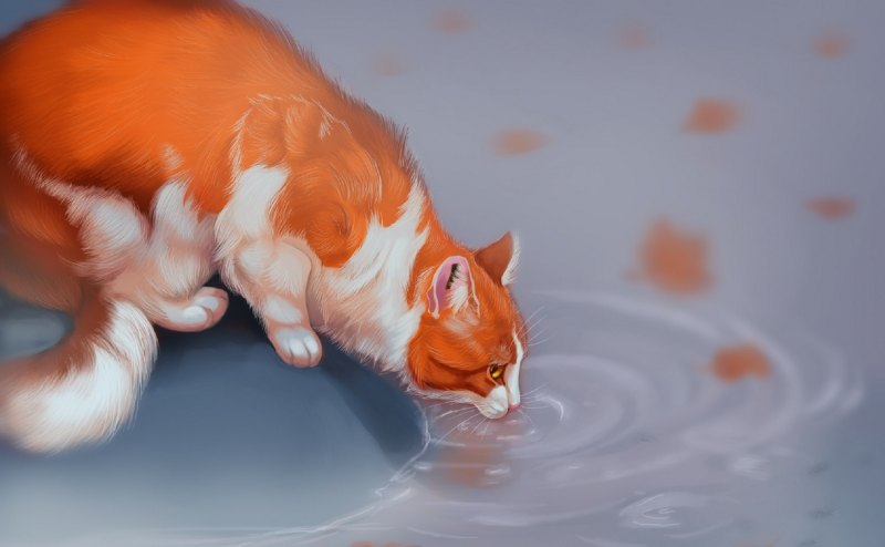 Бело рыжий котенок арт