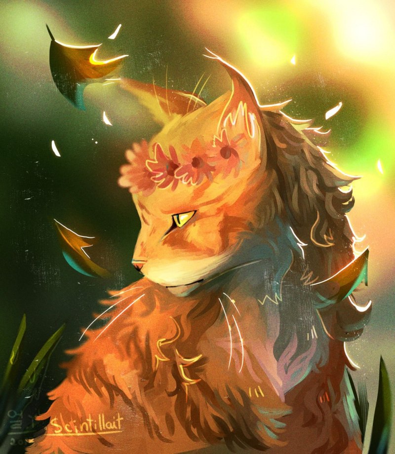 Коты Воители Warriors