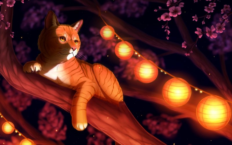 Рыжий кот арт