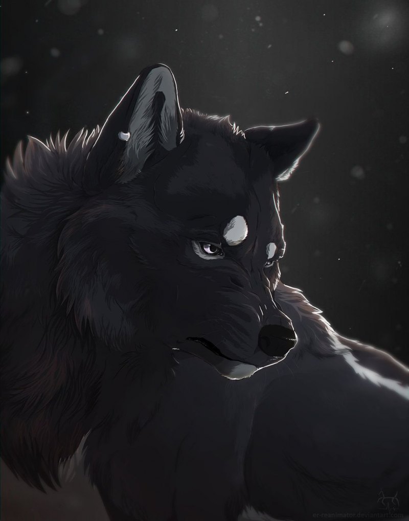 Ферал волчица