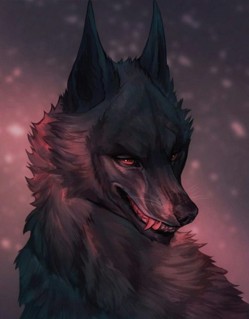 Блэк Вольф аниме