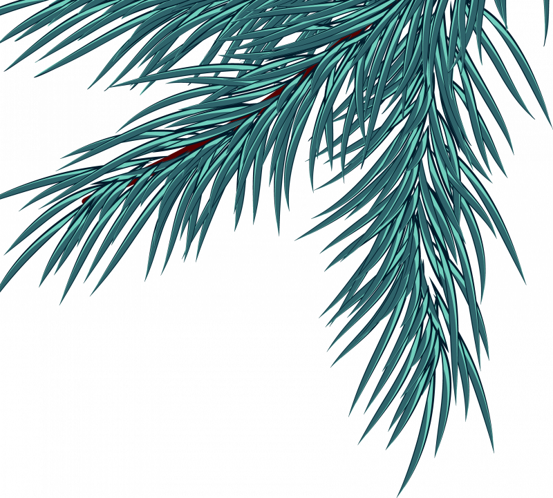 Елочная ветка