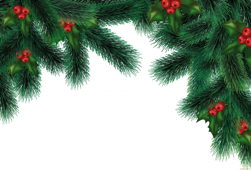 Ветка Еловая