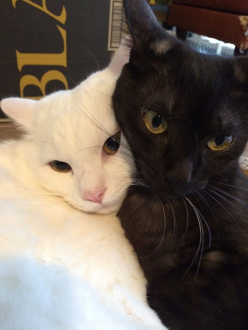 Милые пикчи для отношений