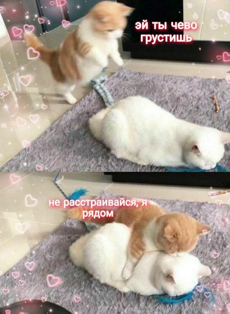 Немного добра