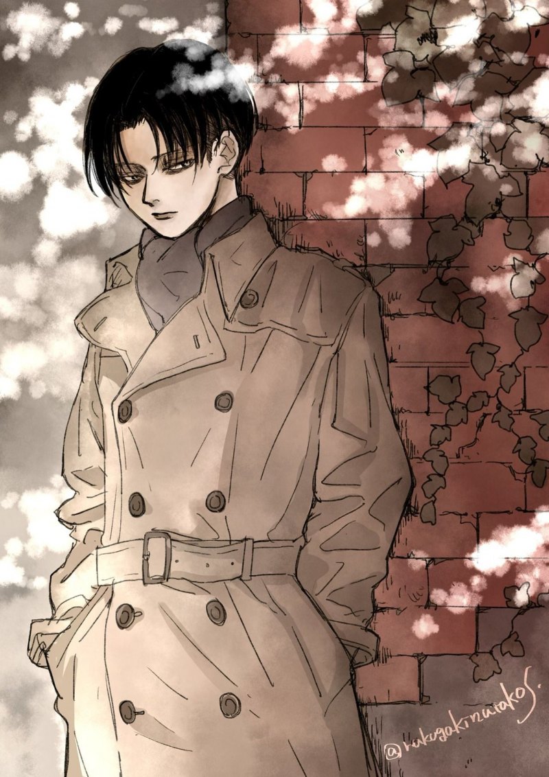 Атака титанов Леви Аккерман улыбка