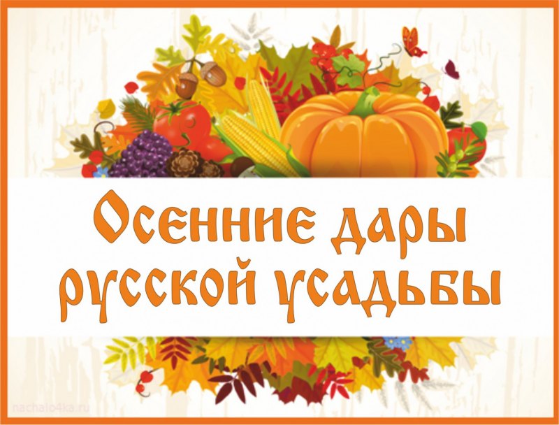Тематическая неделя овощи