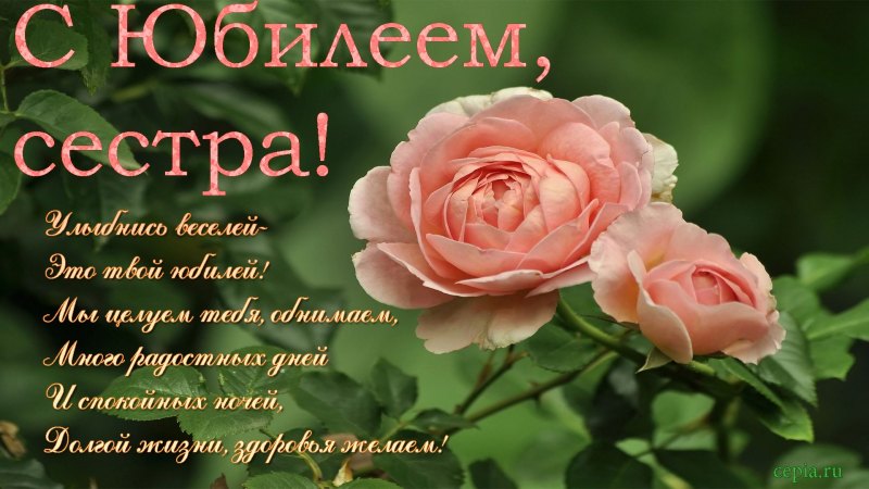 Поздравления с днём рождения снохе