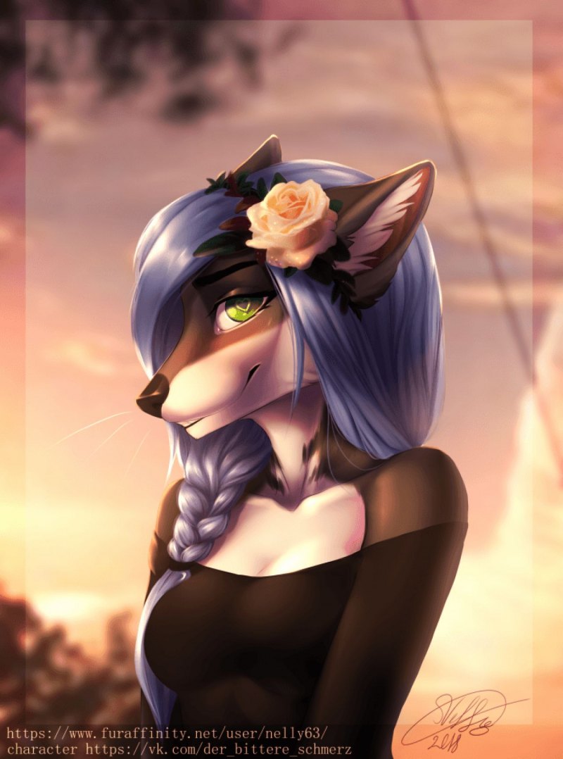 Furry nelly63 Аселла YIUFF