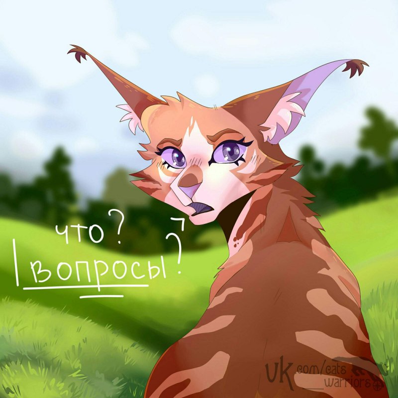Коты Воители Верескоглазка
