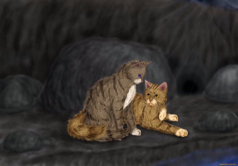 Warriors Cats Sandstorm