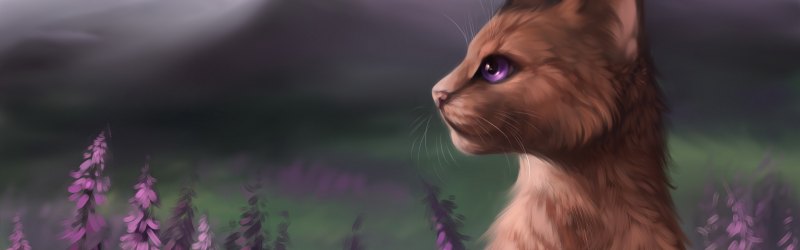 Nightrizer Warrior Cats