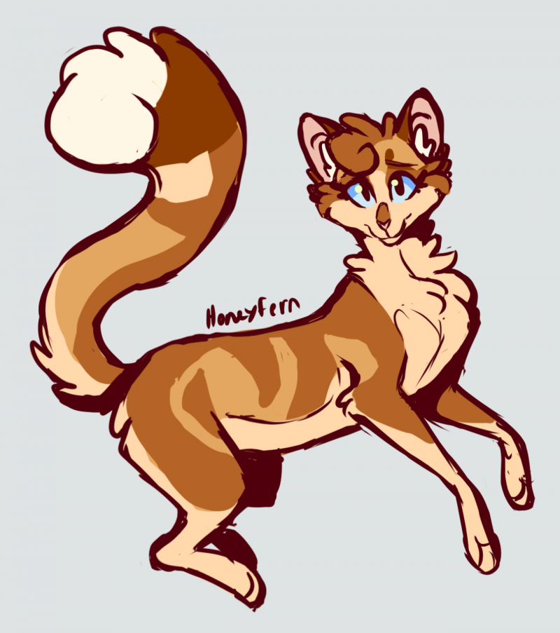 Heathertail коты Воители