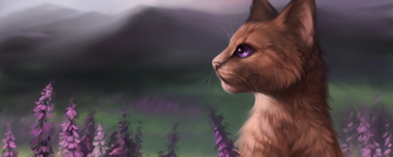 Коты Воители ягодник и Медобока