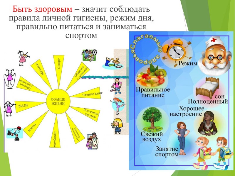 Презентация по окружающему миру 1 класс режим дня