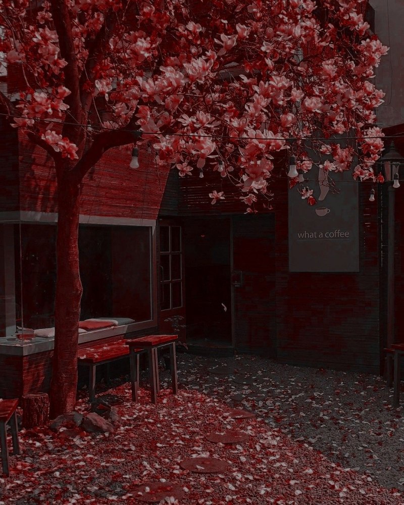 Эстетика красного и белого