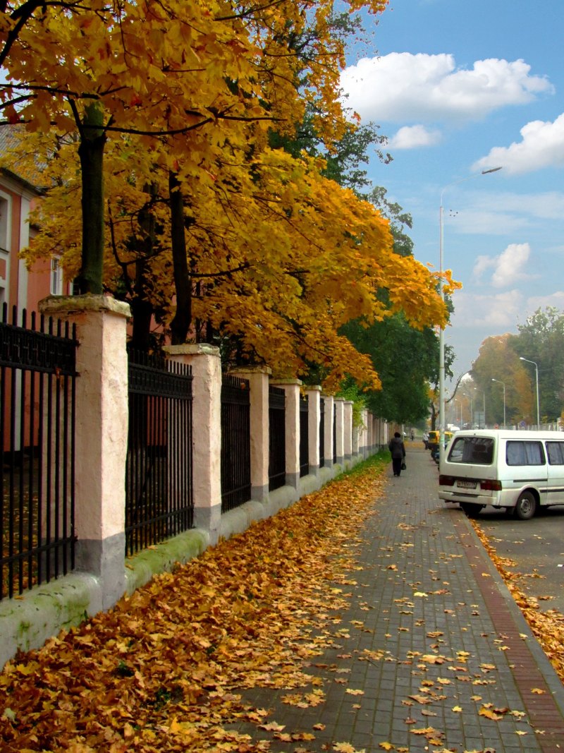Осенняя улица