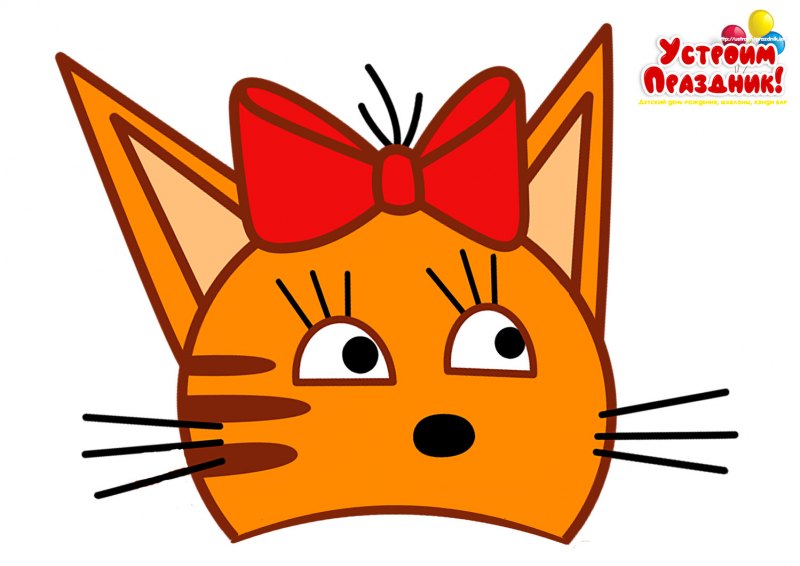Котик в шляпе ковбоя
