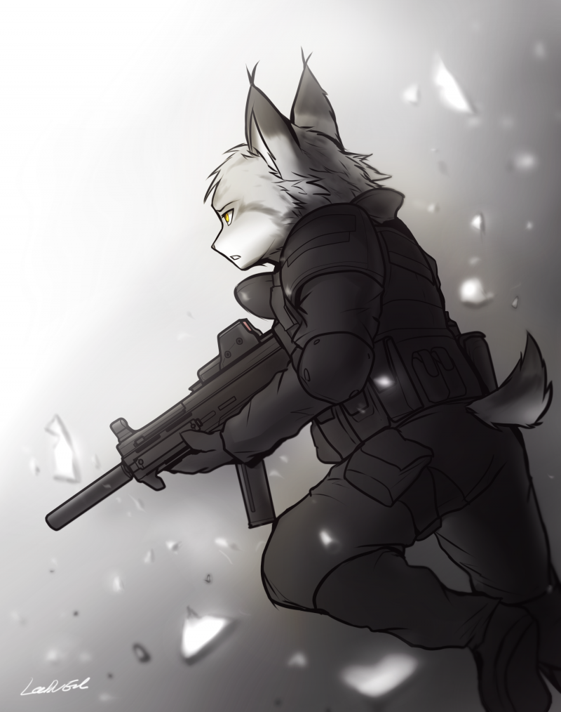 Боевые фурри