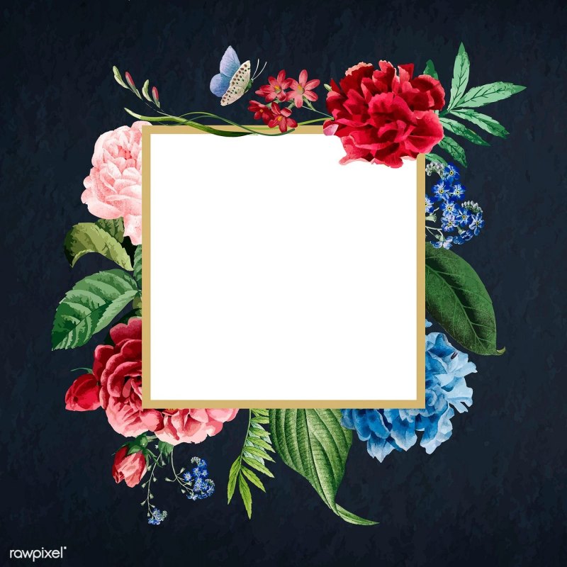 Рамка с цветами вектор